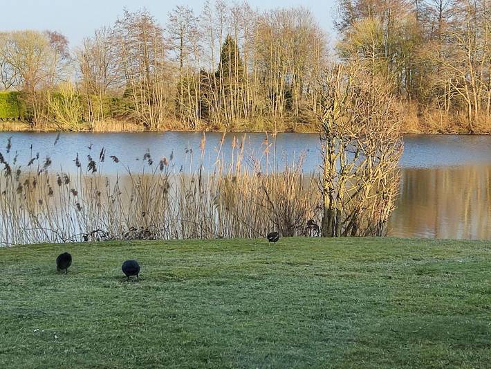 Haus am Kiessee mit direkter Angelseelage in Nenndorf, Landkreis Wittmund
