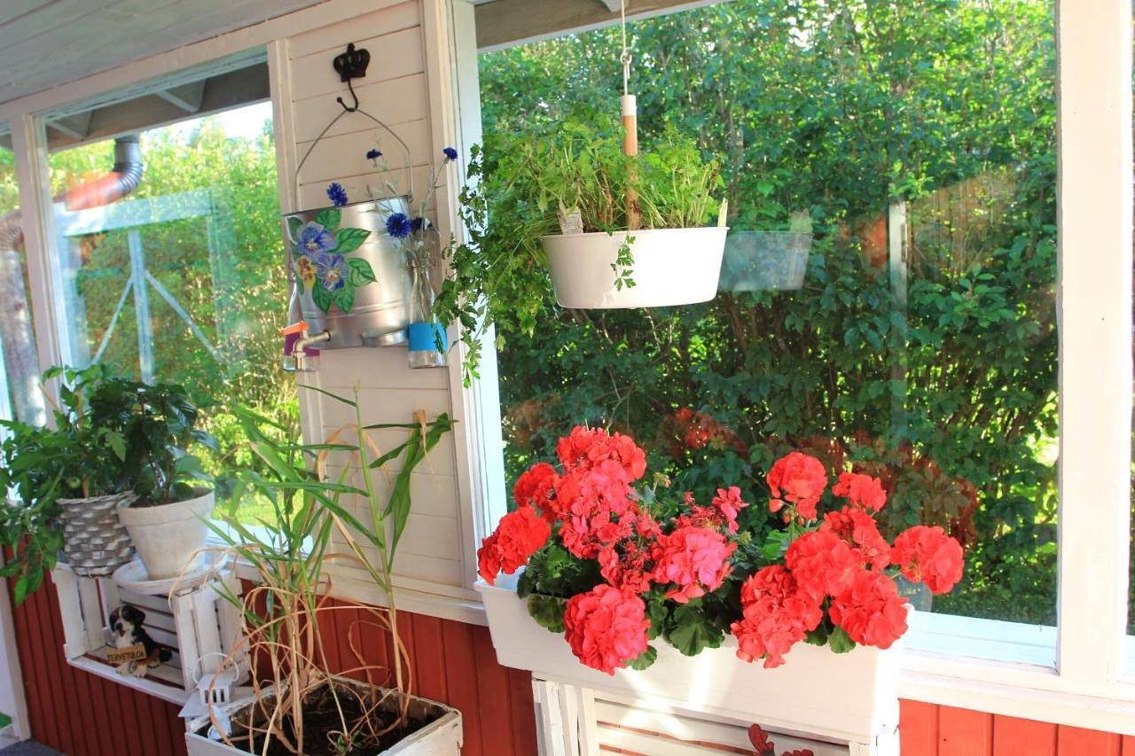 Double or Twin Room with Shared Bathroom in Rovaniemi, Laponie