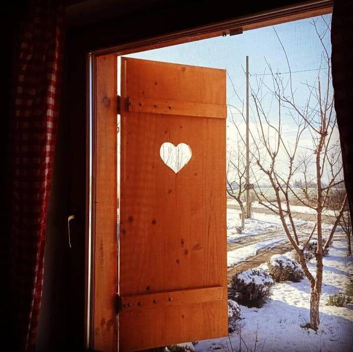 Maison d’hôte pour 8 personnes, avec vue ainsi que jardin et sauna dans Slavonie - 4