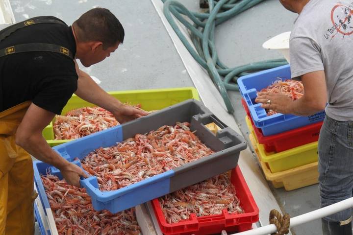 Location de vacances pour 2 personnes, avec piscine et sauna ainsi que terrasse et jardin, animaux acceptés à Treffiagat - 3