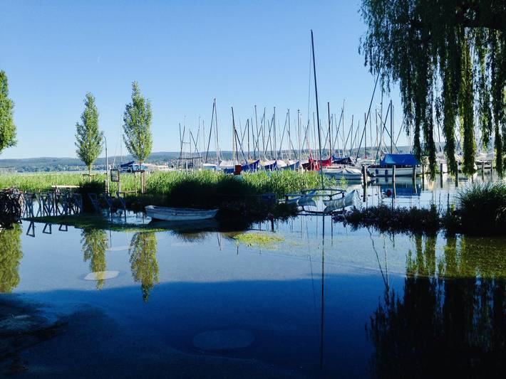 Ganze Ferienwohnung, Ferienwohnungen Inselsteg - Fam. Gräser - InselNEST am Steg, 1-Zimmer-FeWo, Eg, 20 m² in Reichenau, Untersee