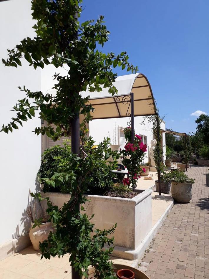 Chambre d’hôte pour 2 personnes, avec Jardin à Parabita - 4