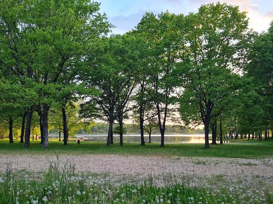 Camping La Tour Du Stock - Unique 4 persons - Reeds in Langatte, Sarrebourg (France)
