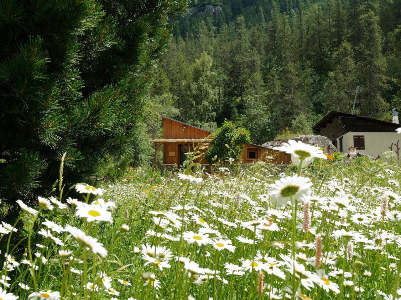 Charming 3-star chalet with private garden in the heart of Mercantour in Belvédère, Nice region