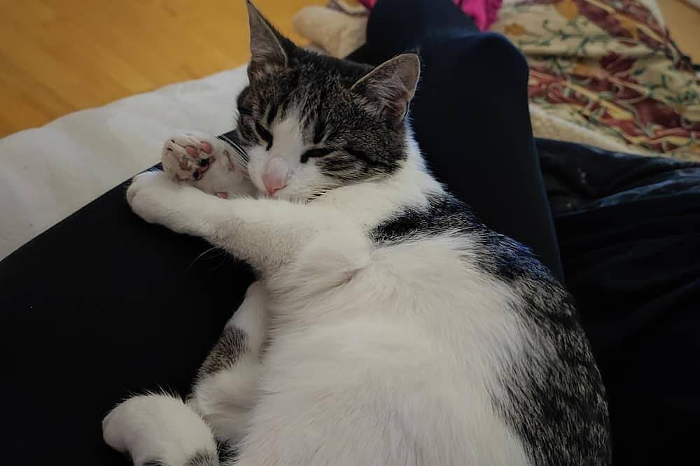 Ganze Wohnung, Apartmán Rio is located in Huncovce\n in Ostslowakei