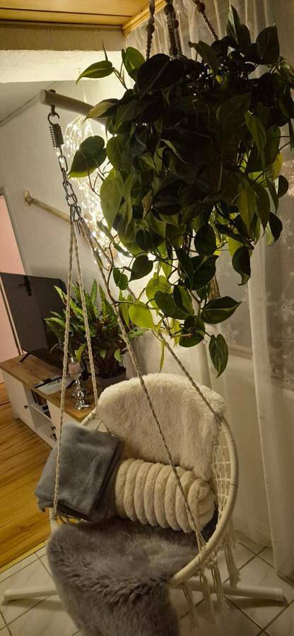 Ferienwohnung für 3 Personen, mit Terrasse und Garten sowie Ausblick in Furth im Wald - 3