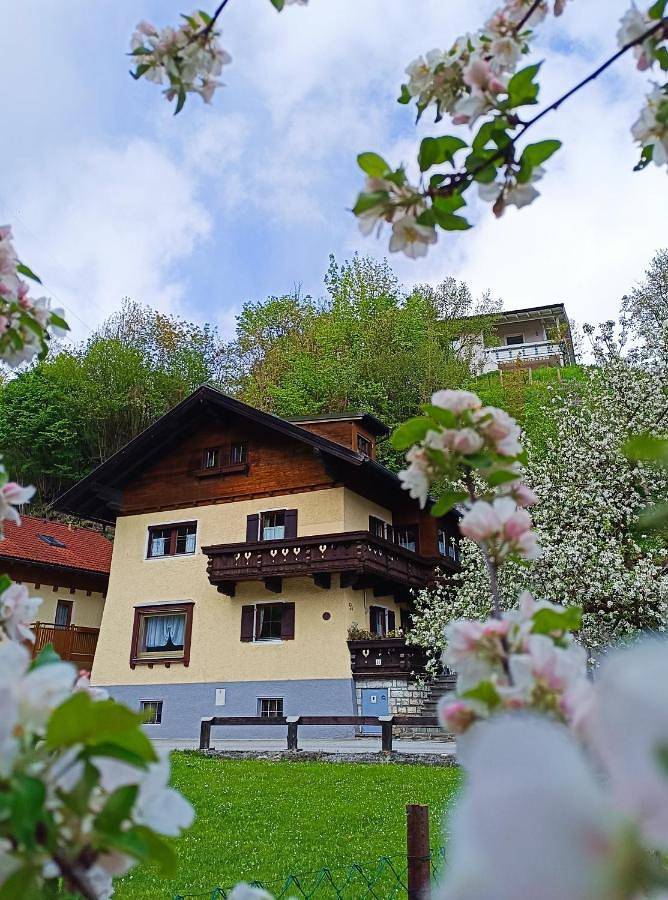 Gîte pour 3 personnes, avec vue ainsi que jardin et terrasse à Werfen - 2