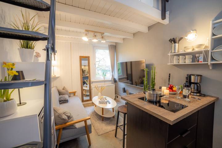 Ganze Ferienwohnung, Tiny Loft Harz in Sankt Andreasberg, Braunlage
