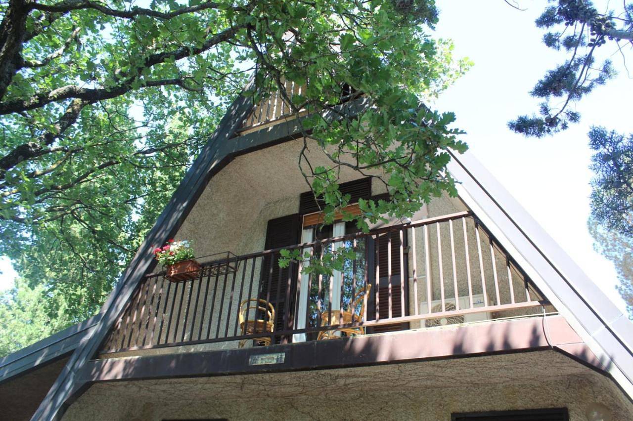 Chalet Etna dreamers in Nicolosi, Etna