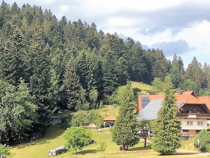 Ferienwohnung für 3 Personen, mit Balkon/Terrasse und Terrasse sowie Garten und Pool in Bad Rippoldsau-Schapbach - 3