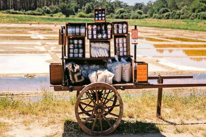 Mobil home pour 6 personnes, avec terrasse et piscine à La Turballe - 4