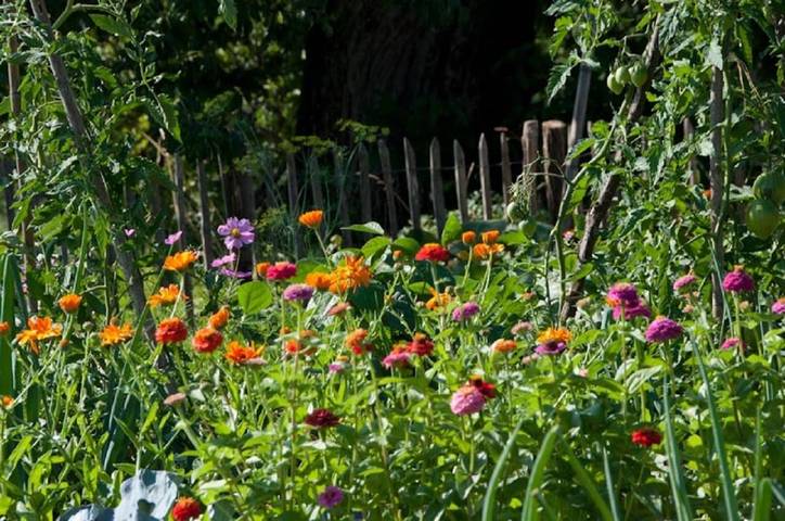Chambre d’hôte pour 6 personnes, avec vue et jardin, animaux acceptés dans l' Isère - 4