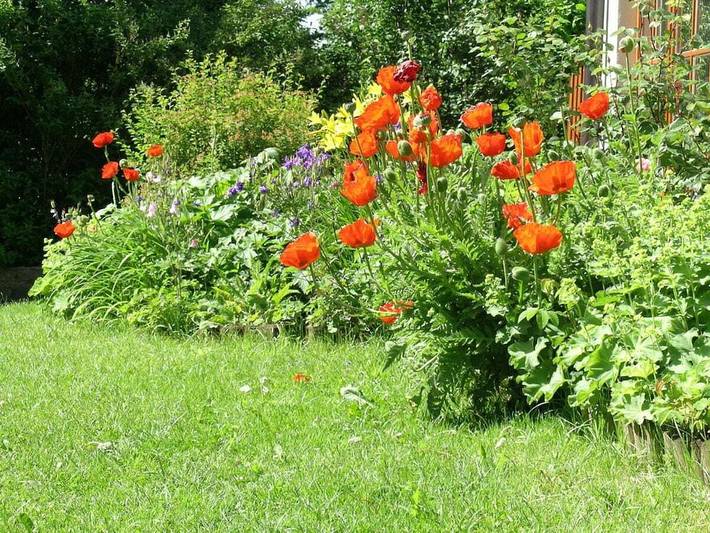Ferienhaus für 2 Personen, mit Terrasse und Garten in Warngau - 2