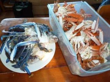 Holiday Home for 6 People in South Australia, Australia, Photo 1