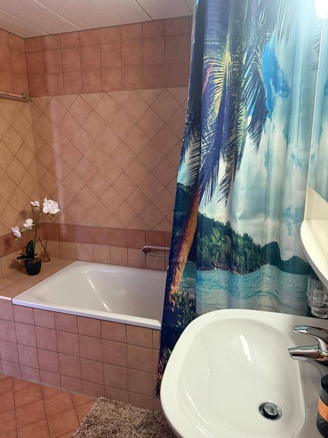 Gîte pour 4 personnes, avec vue sur le lac ainsi que vue et terrasse à Port-Valais - 4