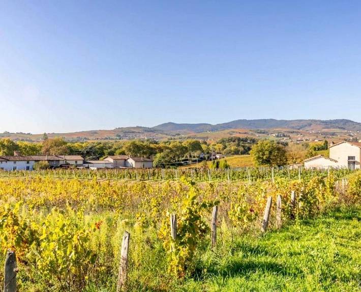 Gîte pour 4 personnes, avec terrasse à Saint-Étienne-des-Oullières - 4