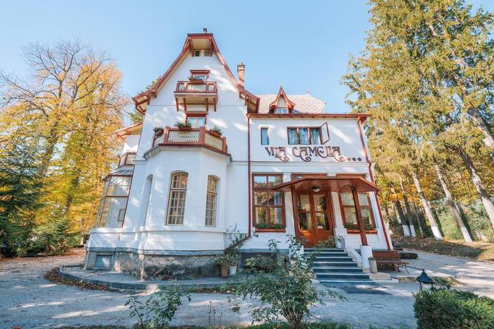 Hôtel pour 3 personnes, avec vue et jardin à Sinaia - 2