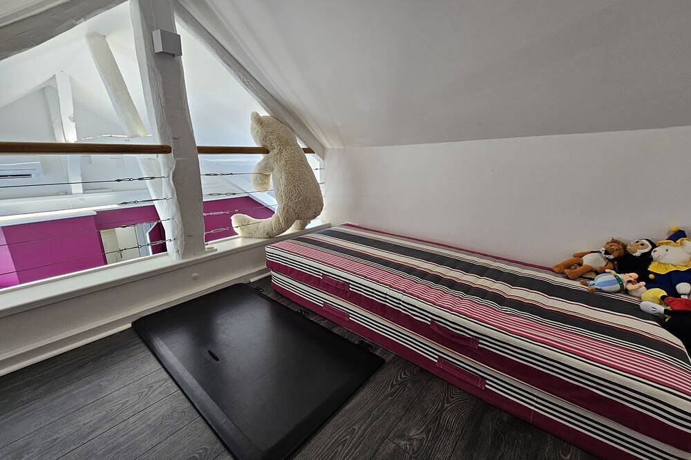 Appartement entier, La Maison V.H. - Loft executif, de 110m² in Troyes, Aube