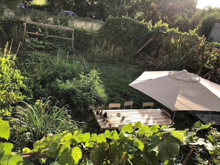 Maison rivière très calme près de Chablis et Noyers sur serein chez un céramiste designer in Annay-sur-Serein, Arrondissement d'Avallon