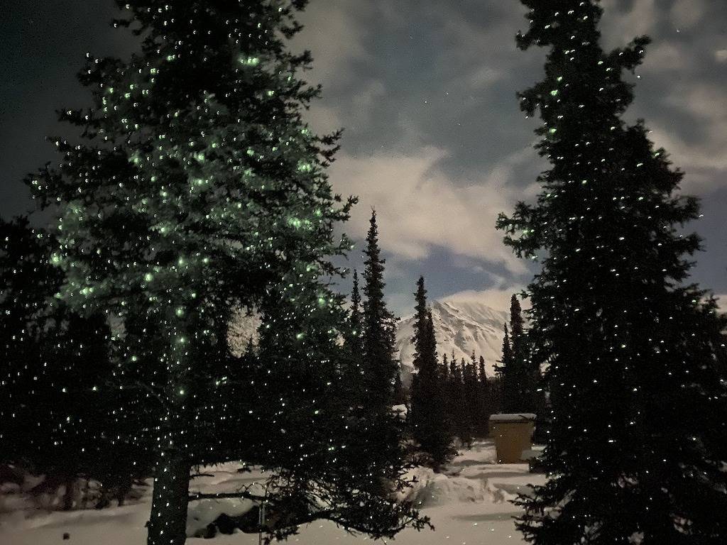 Vacation House for 6 Guests in Denali, Alaska