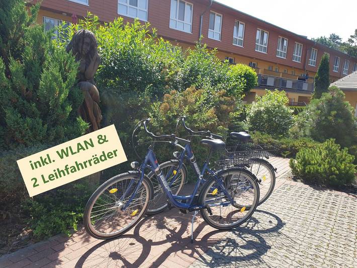 Ferienpark für 5 Personen, mit Garten und Balkon, kinderfreundlich in Zempin - 3