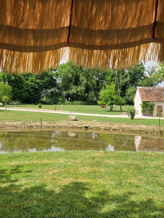 Location de vacances pour 2 personnes, avec jardin et vue à Soings-en-Sologne - 2