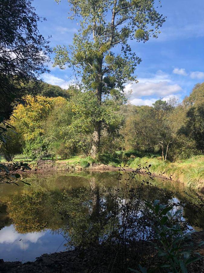 Location de vacances pour 2 personnes à Querrien - 4