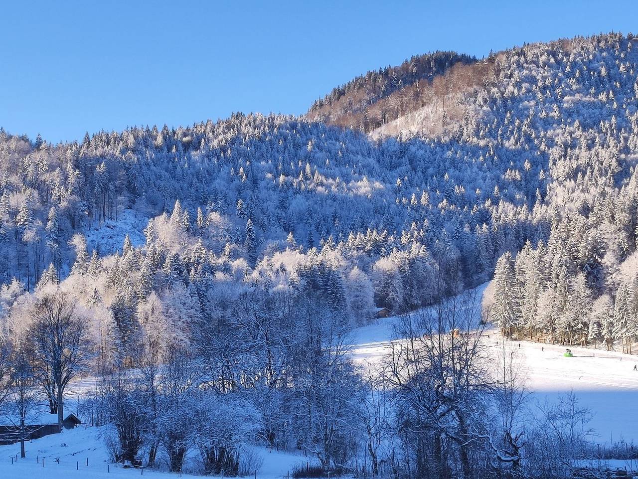 Ferienwohnungen Rohnbogner - Ferienwohnung Hirschberg in Kreuth, Bayerische Alpen