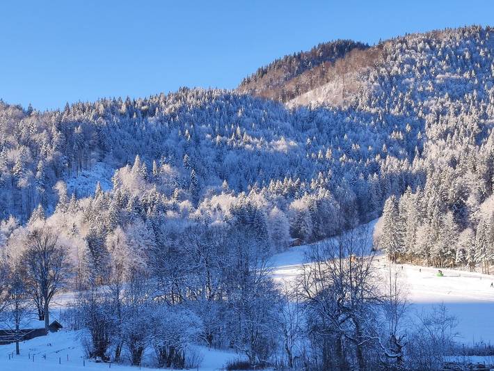 Ferienwohnungen Rohnbogner - Ferienwohnung Hirschberg in Kreuth, Bayerische Alpen