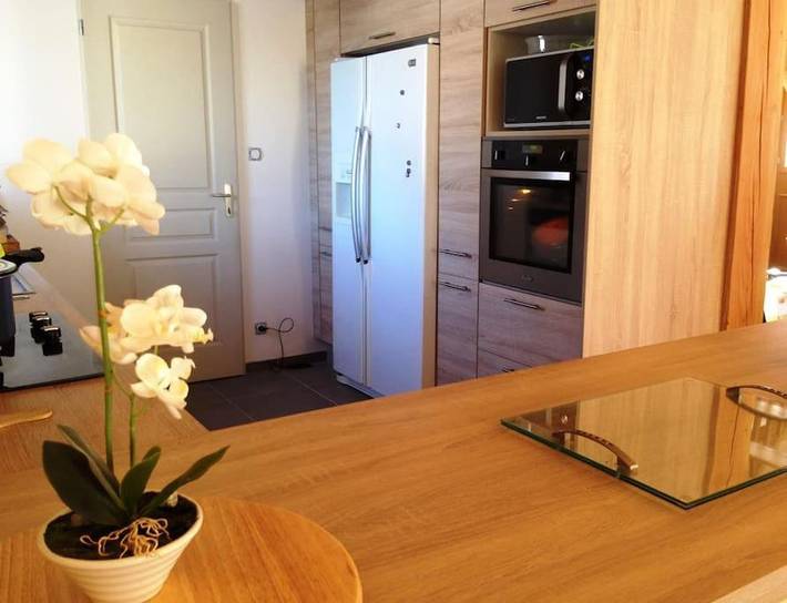 Gîte pour 12 personnes, avec jardin ainsi que vue et terrasse, animaux acceptés à Armenteule - 4