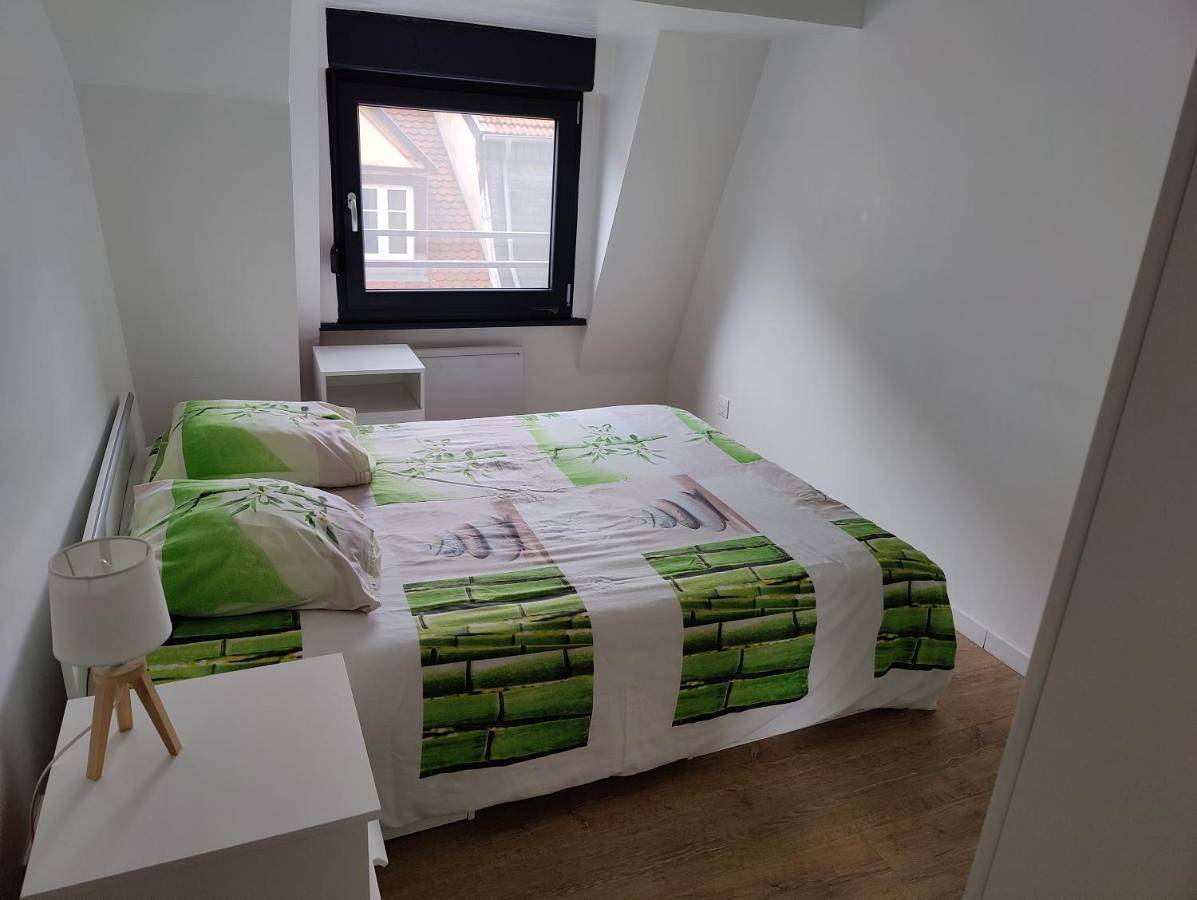 Appartement entier, Le Green Duplex moderne en hypercentre in Sarreguemines