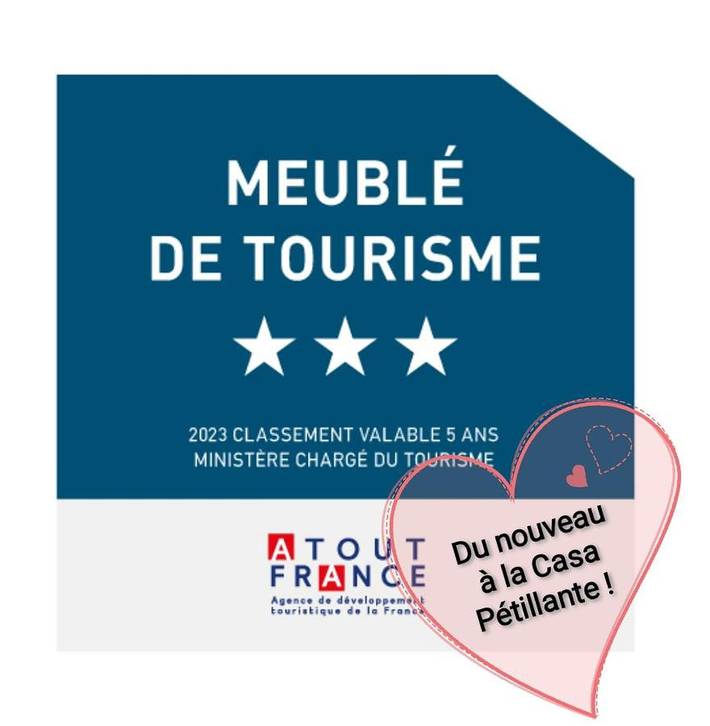 Location de vacances pour 8 personnes, avec terrasse, animaux acceptés dans Aÿ-Champagne - 2