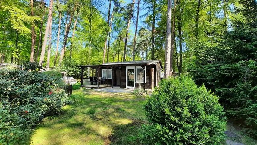 Bungalow für 4 Personen, mit Terrasse und Garten in Graal-Müritz - 2