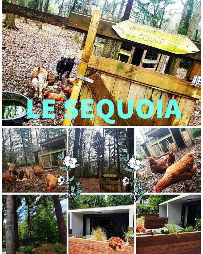 Gîte pour 5 personnes, avec vue et jardin, animaux acceptés à Saint-Sébastien-sur-Loire - 4