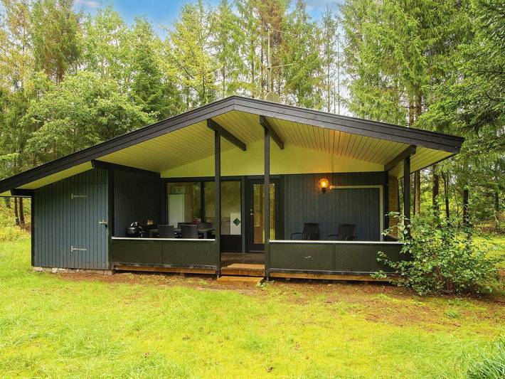 Ferienhaus für 6 Personen in Silkeborg