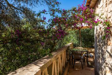 Apartment in Petra (Mallorca), Mallorca Inselmitte für 3 