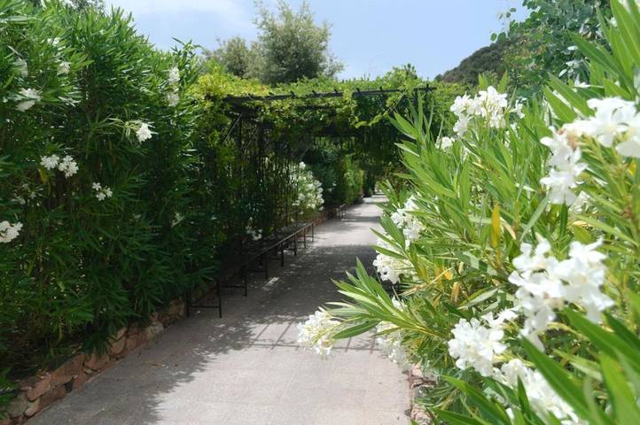 Location de vacances pour 6 personnes, avec jardin ainsi que piscine et jacuzzi à Serriera - 2
