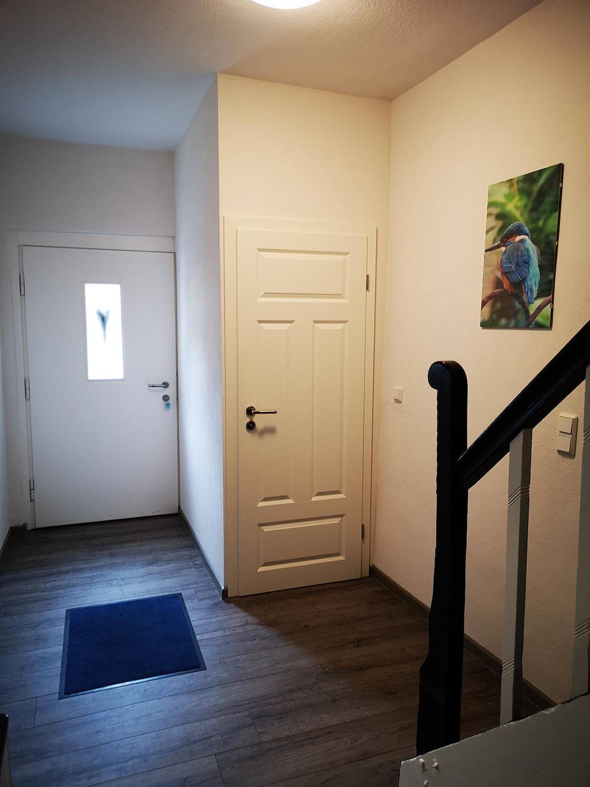 Das blaue Haus in Zeltingen-Rachtig, Bernkastel-Kues & Umgebung