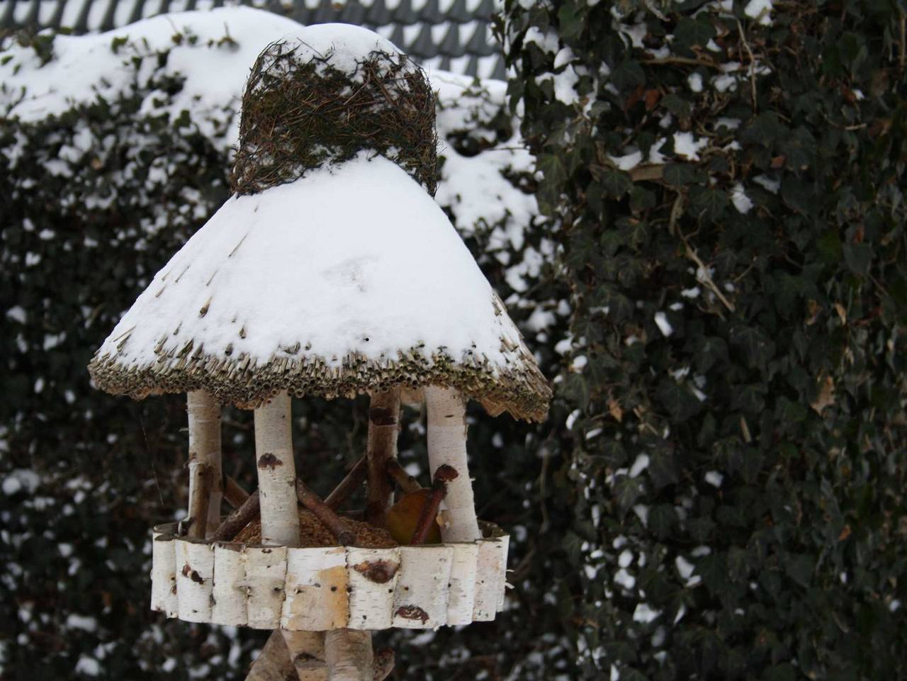 Ganze Ferienwohnung, Haus Tholund - Fewo 2 in Utersum, Föhr