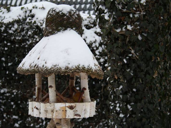 Ganze Ferienwohnung, Haus Tholund - Fewo 2 in Nordfriesische Inseln (Schleswig-Holstein) (Schleswig-Holstein), Utersum