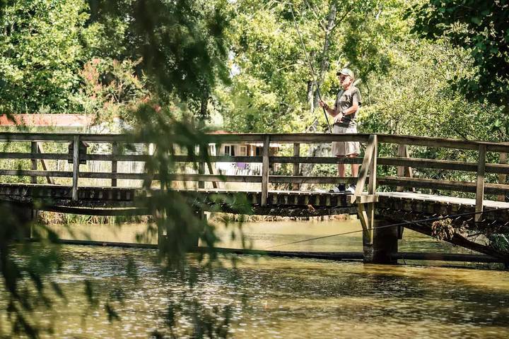 Gîte pour 3 personnes, avec terrasse et piscine à L'Aiguillon-sur-Vie - 2