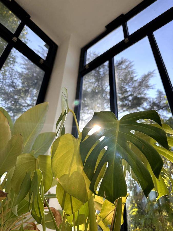 Location de vacances pour 8 personnes, avec jardin ainsi que piscine et vue, animaux acceptés à Le Poët-Laval - 4