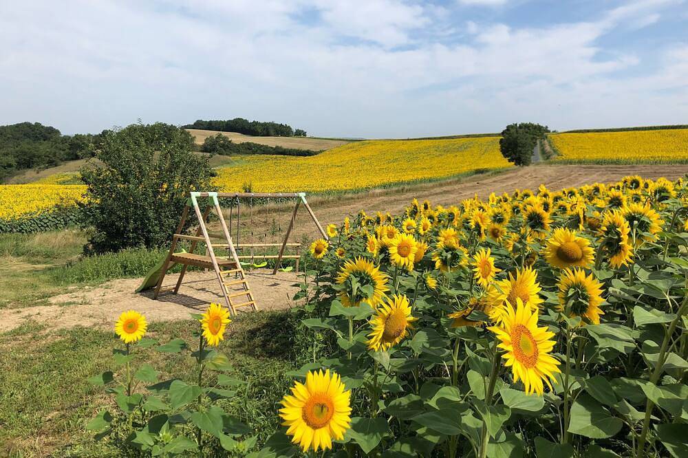 Ancien corps de ferme au milieu des tournesols in Puylaurens, Région de Castres