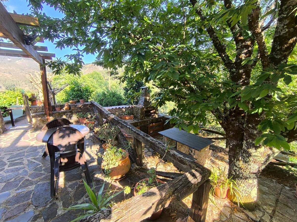 Refúgio Romântico- Casa de Xisto na Serra da Lousã in Serra da Lousã