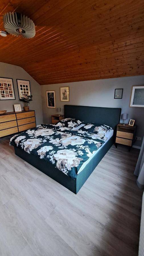 Ferienhaus für 8 Personen, mit Ausblick und Garten, mit Haustier - 1