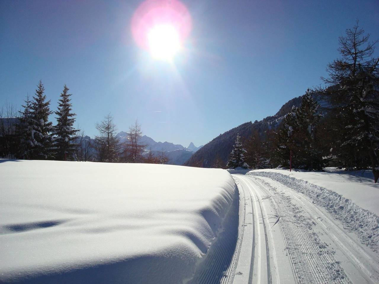 Ganze Wohnung, Almenrausch 1. Og Süd-Ost - Almenrausch 1. Og Süd-Ost 664.1 in Riederalp, Aletsch Arena