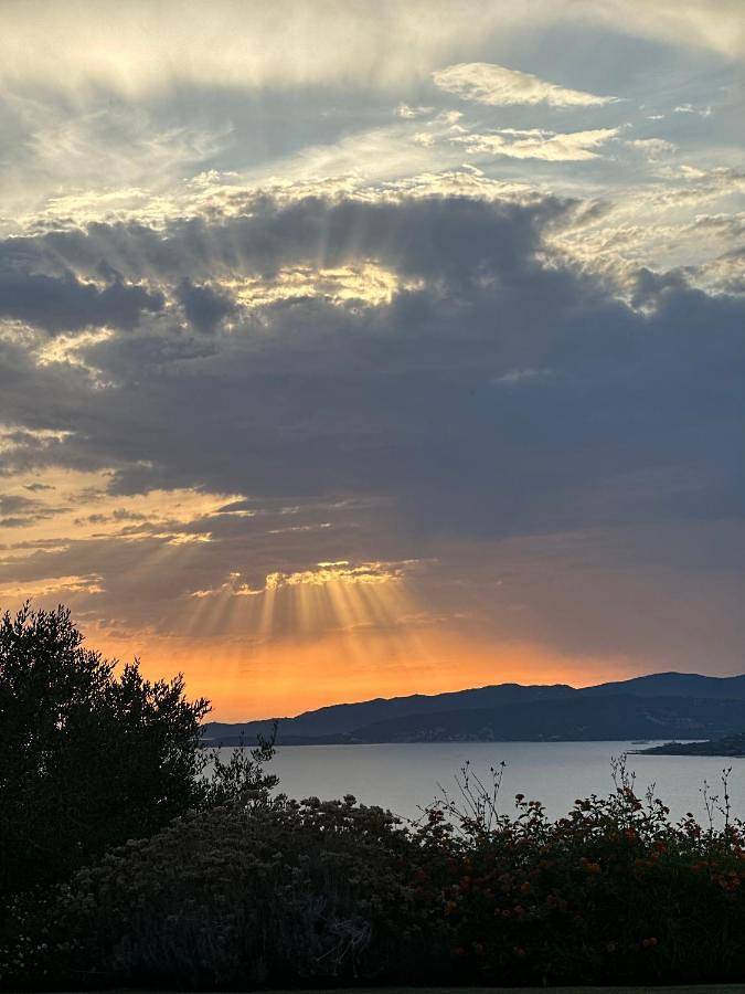 Villa pour 8 personnes, avec jardin ainsi que vue et piscine à Propriano - 4
