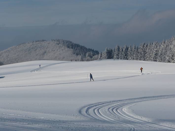 Ferienhaus für 10 Personen, mit Garten, kinderfreundlich in Winterberg - 4