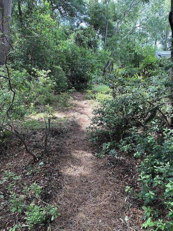 Peaceful cottage close to downtown Beaufort, Sc in Beaufort, Beaufort County