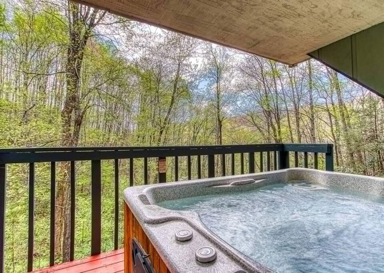Entire apartment, Peace, Serenity & Relaxation in the Smokies! in Sevier County